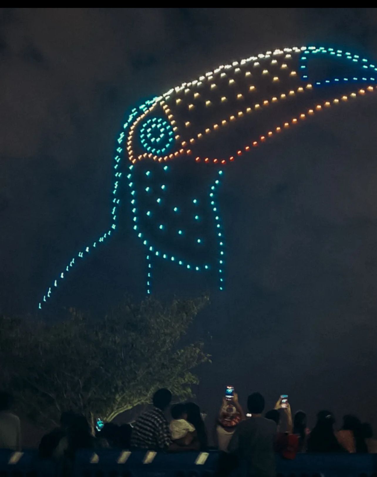 Toucan 3D formé par drones